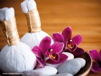 Pochons massage Luk Pra Kob